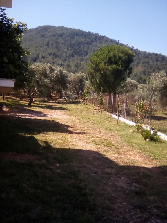 Doukas Hotel Skala Rachoni  Luaran gambar